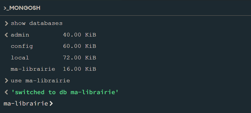 Exemple de résultat d'affichage apres la commande use databases dans la console Mongosh de MongodDB Compass pour changer de base de données.